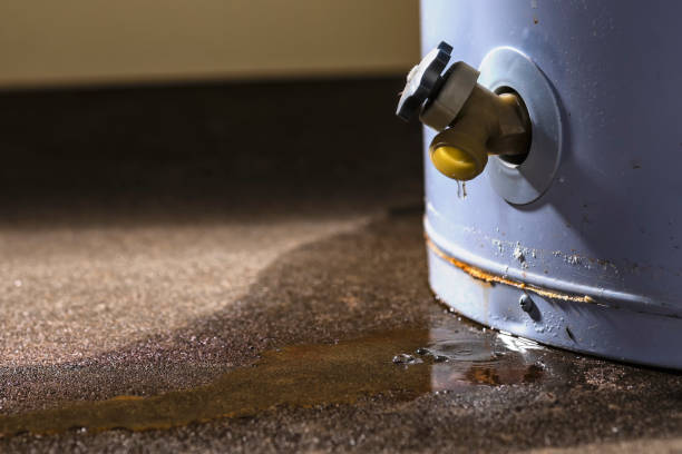 Best Water damage contractors near me  in Bradford, PA