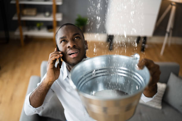Best Carpet water damage restoration  in Bradford, PA