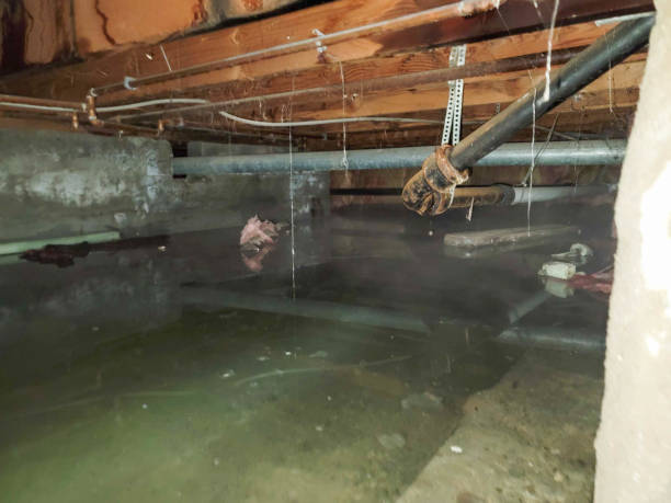 Best Water damage contractors near me  in Bradford, PA