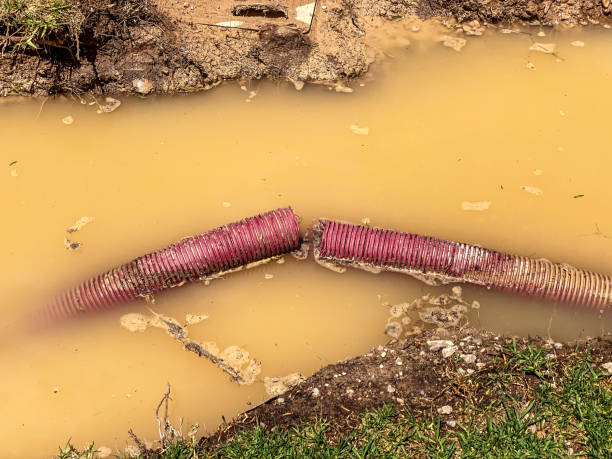 Best Water damage cleanup near me  in Bradford, PA